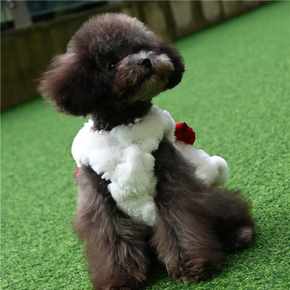 Winter Clothing For Dogs - Vestido de piel de conejo para