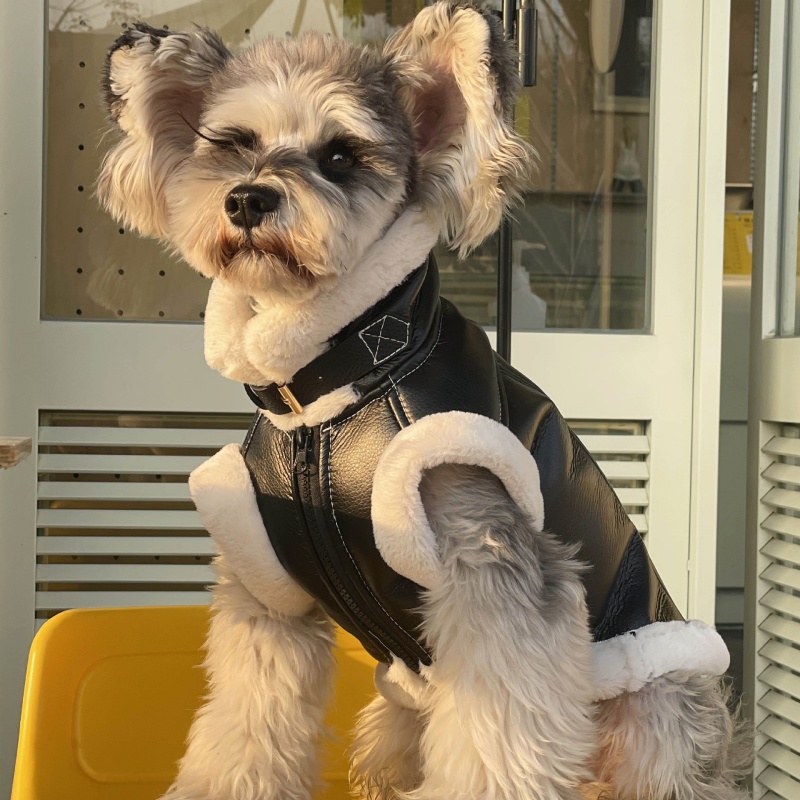 Winter Clothing For Dogs - Chaleco sin mangas de terciopelo para