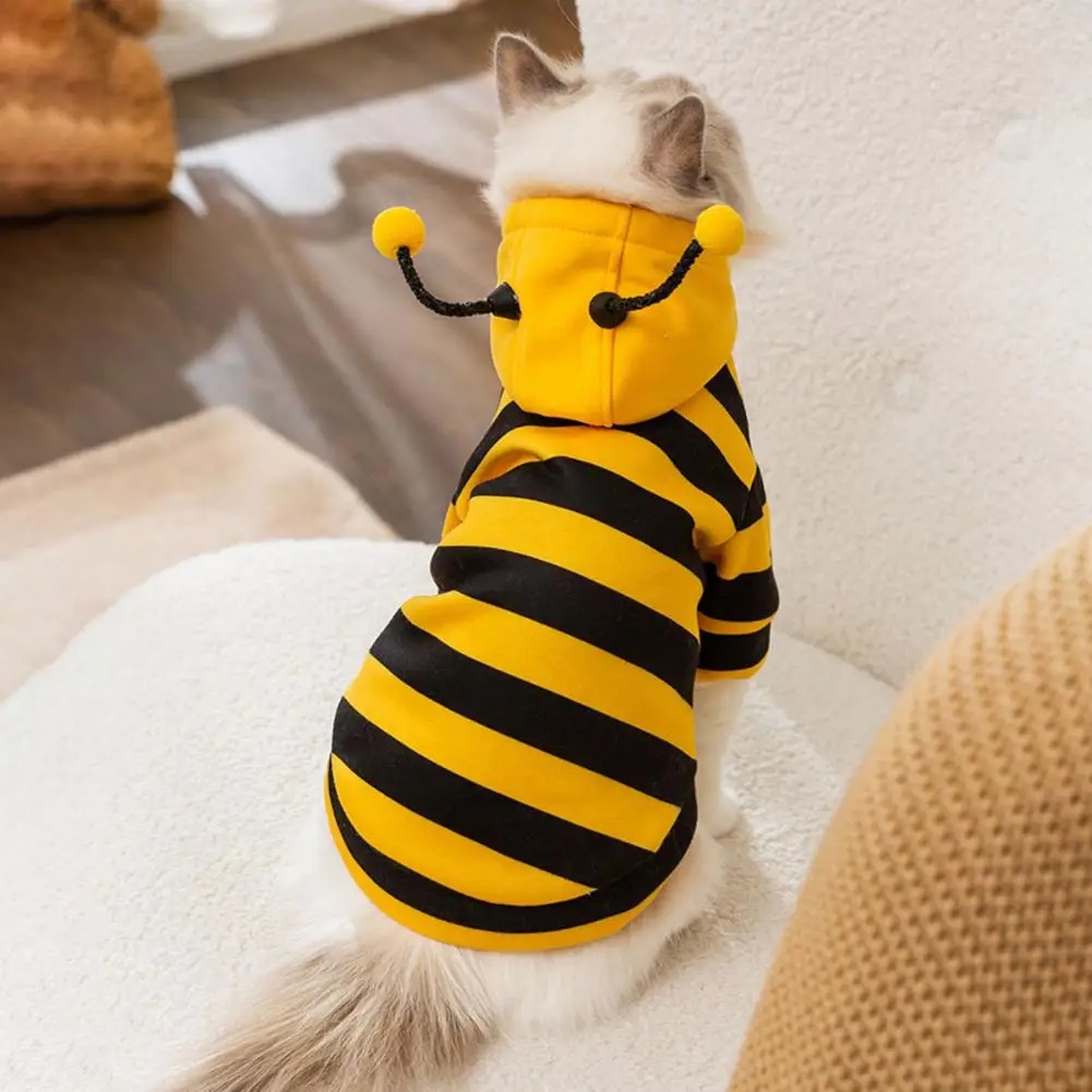Ropa para gatos y mascotas, ac - Winter Clothing For Dogs reseña y precio