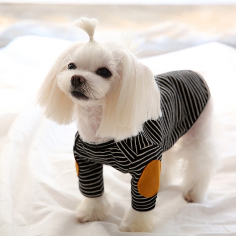 Sudaderas finas con capucha pa - Winter Clothing For Dogs reseña y precio