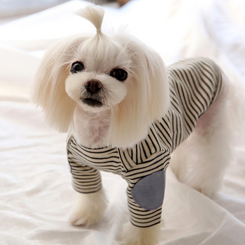 Sudaderas finas con capucha pa - Winter Clothing For Dogs reseña y precio