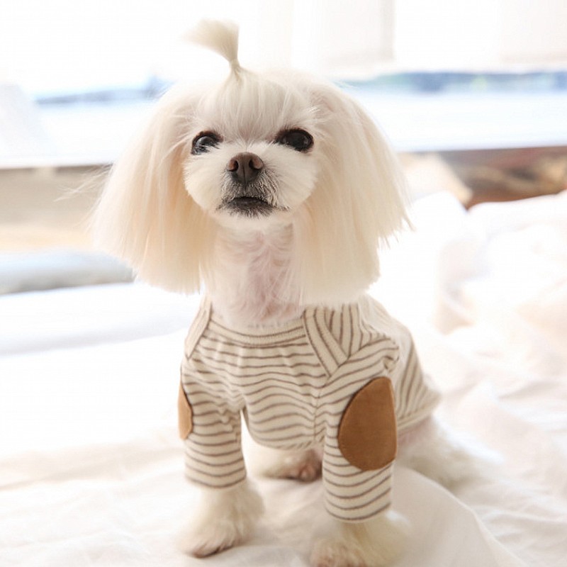 Sudaderas finas con capucha pa - Winter Clothing For Dogs reseña y precio