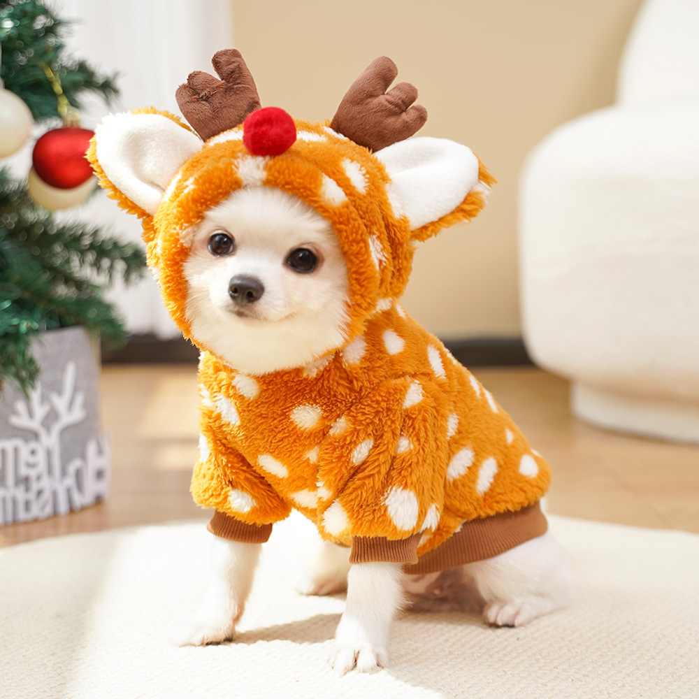 Ropa Navideña para Mascotas co - Winter Clothing Must Haves reseña y precio