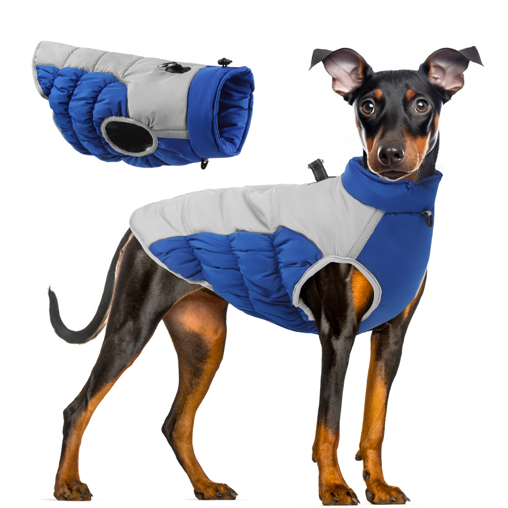 Ropa de invierno para perros,  - Winter Clothing For Dogs reseña y precio