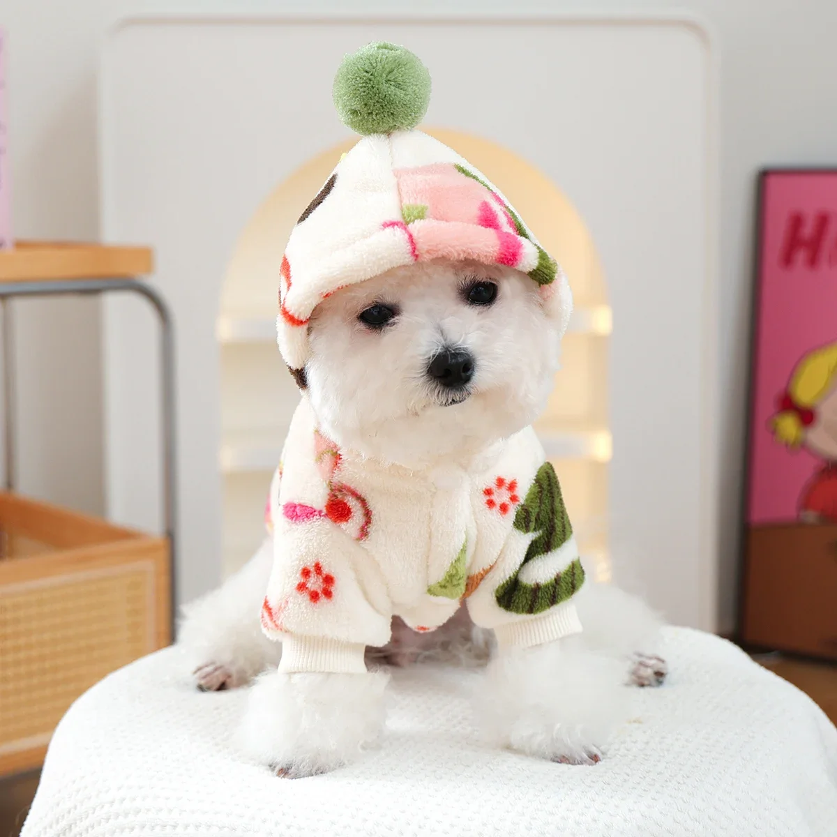 Ropa para Cachorros, Gruesa y  - Winter Clothing Must Haves reseña y precio