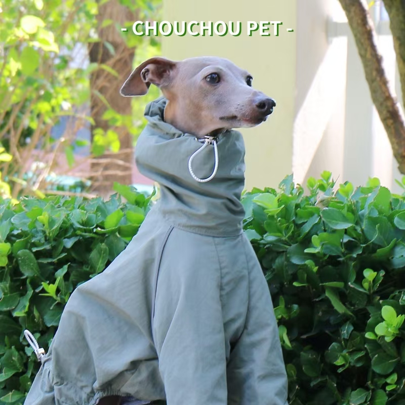 Chubasquero de galgo italiano, - Winter Clothing For Dogs reseña y precio
