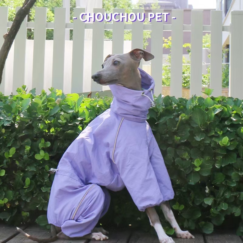 Chubasquero de galgo italiano, - Winter Clothing For Dogs reseña y precio