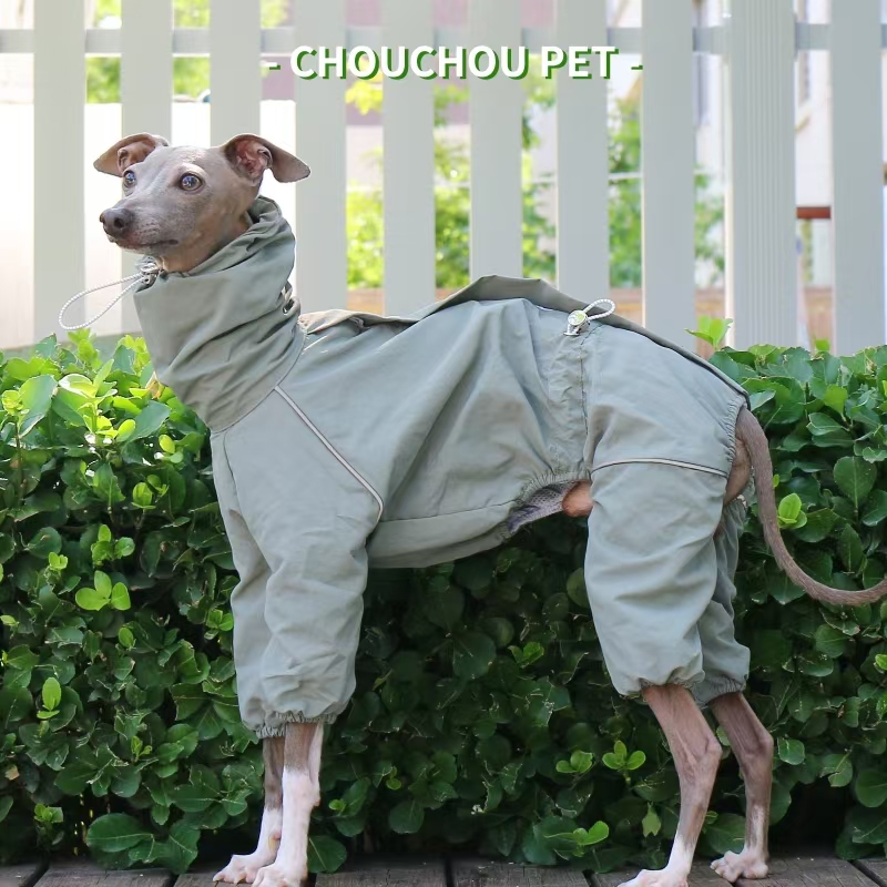 Chubasquero de galgo italiano, - Winter Clothing For Dogs reseña y precio