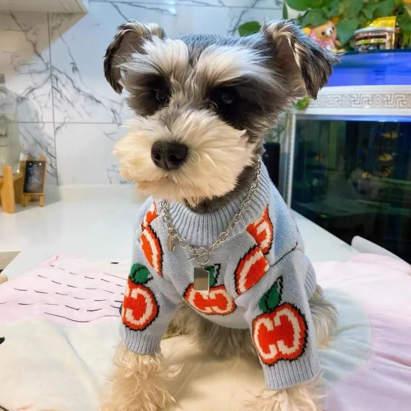 Suéter con letras, ropa para p - Winter Clothing For Dogs reseña y precio