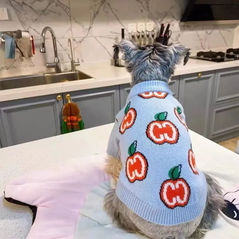Suéter con letras, ropa para p - Winter Clothing For Dogs reseña y precio