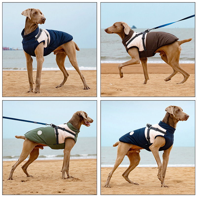 Chaleco cálido para perro con  - Winter Clothing For Dogs reseña y precio