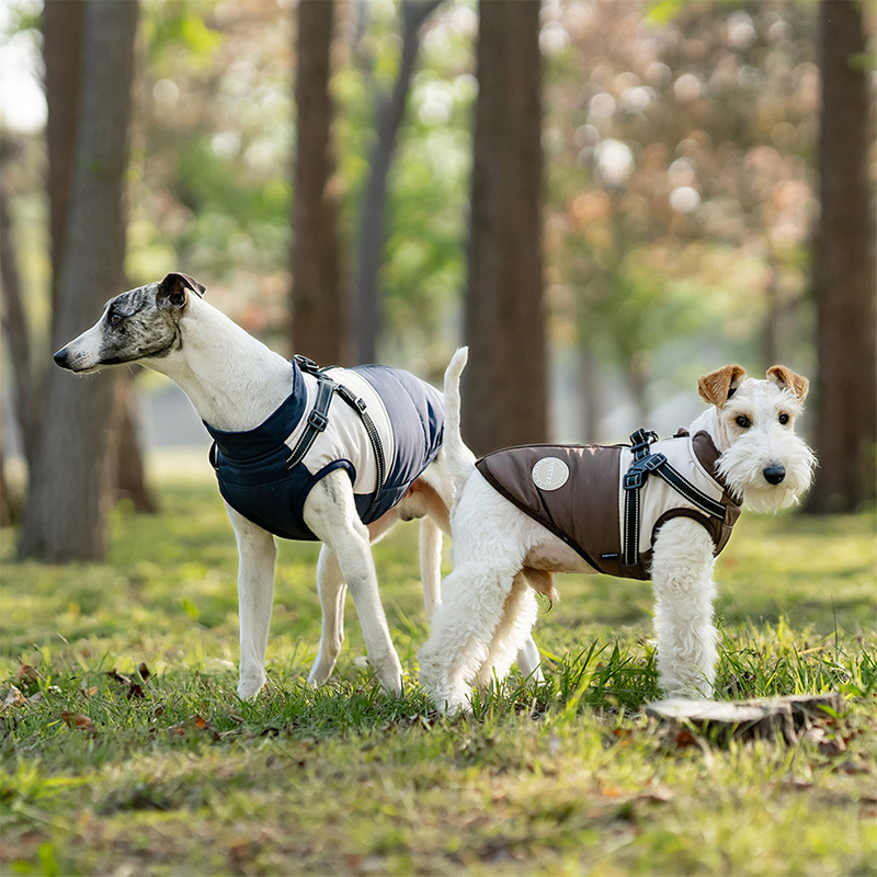 Chaleco cálido para perro con  - Winter Clothing For Dogs reseña y precio