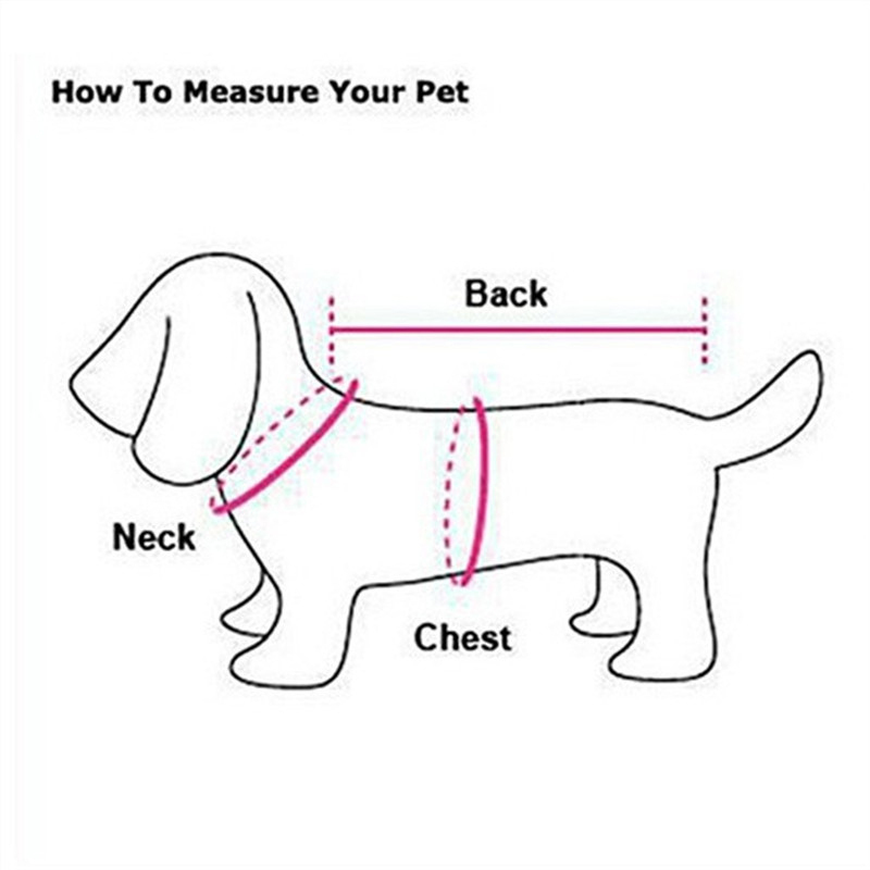 Ropa de invierno para mascotas - Winter Clothing For Dogs reseña y precio