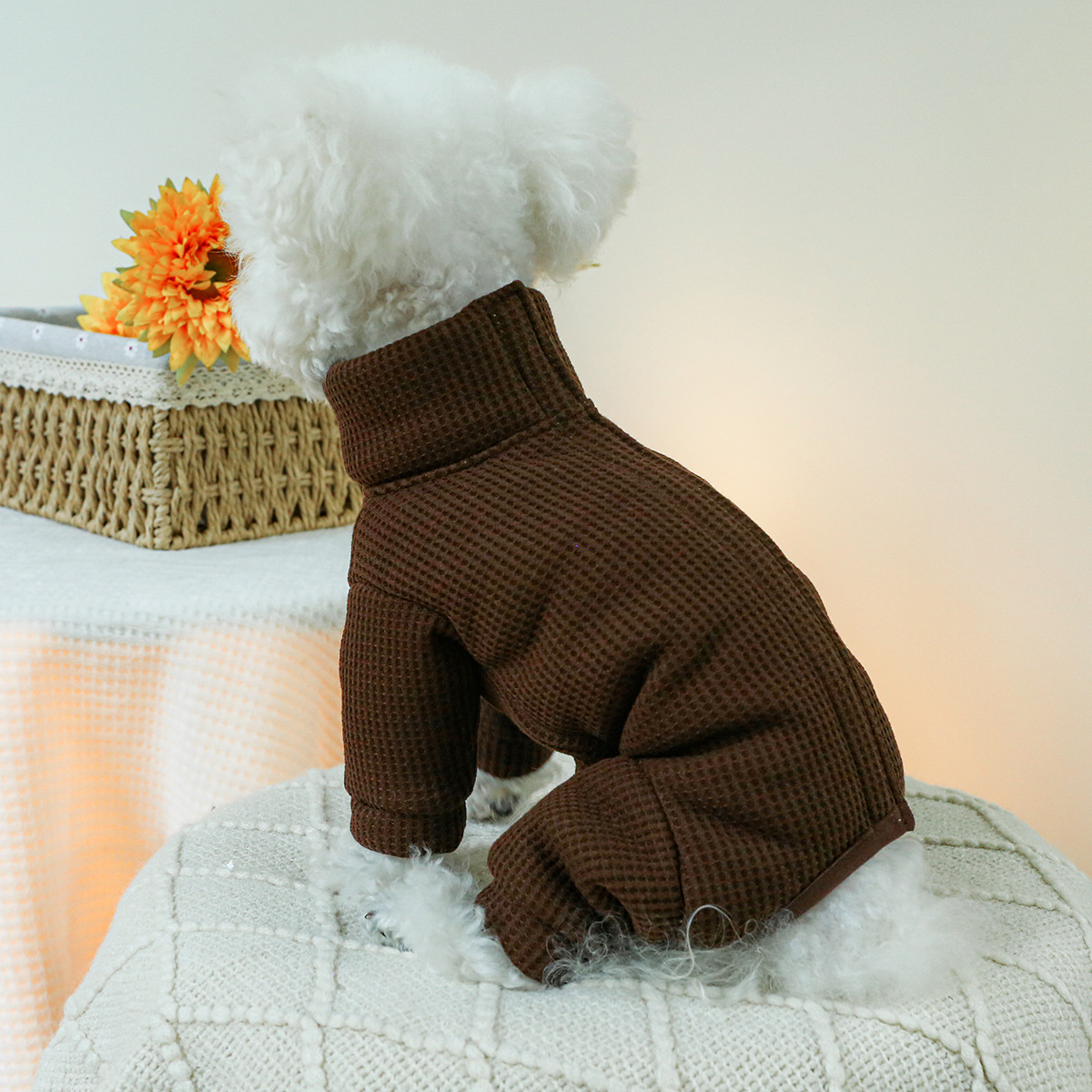 Disfraces de invierno para per - Winter Clothing For Dogs reseña y precio