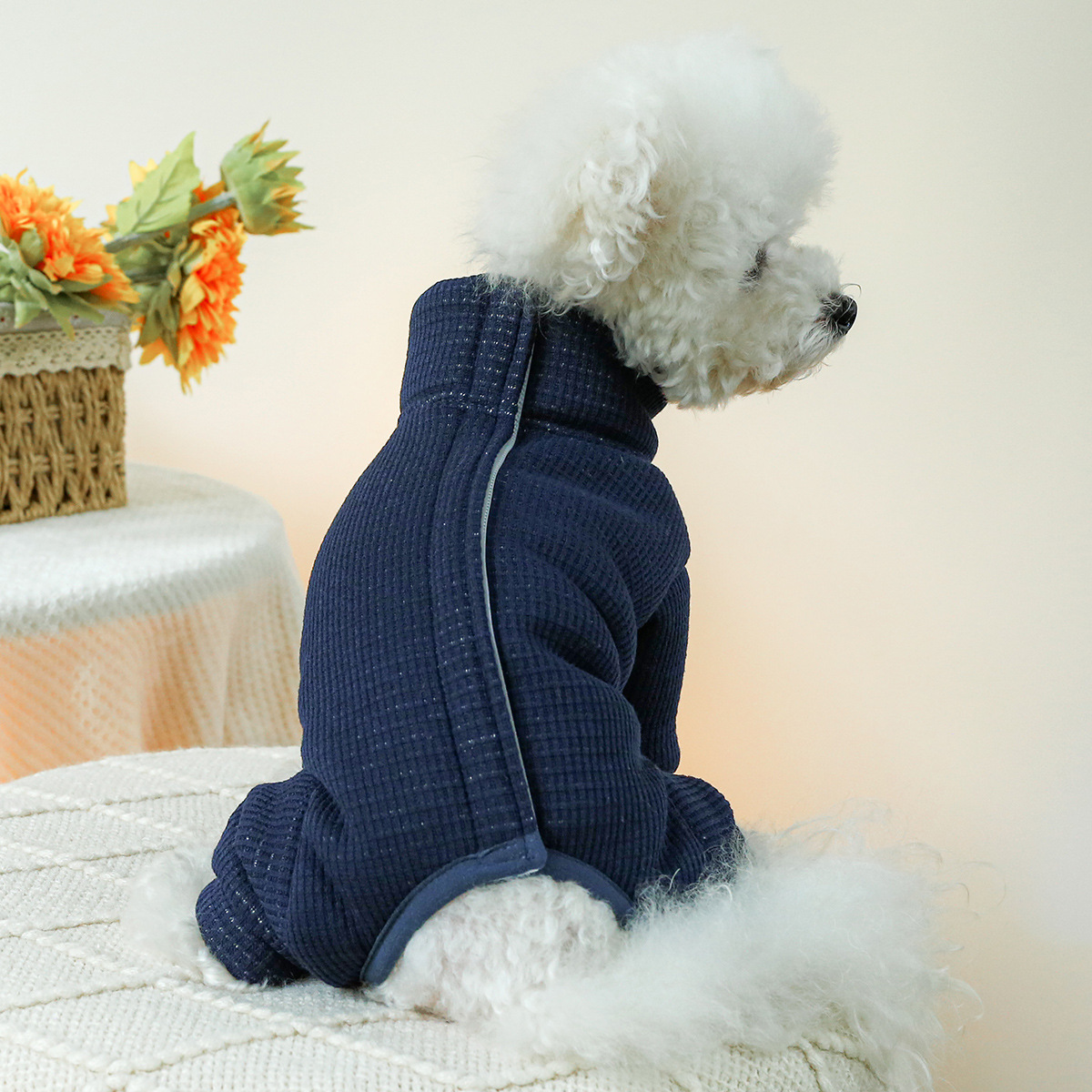 Disfraces de invierno para per - Winter Clothing For Dogs reseña y precio