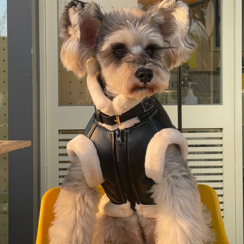 Chaleco sin mangas de terciope - Winter Clothing For Dogs reseña y precio