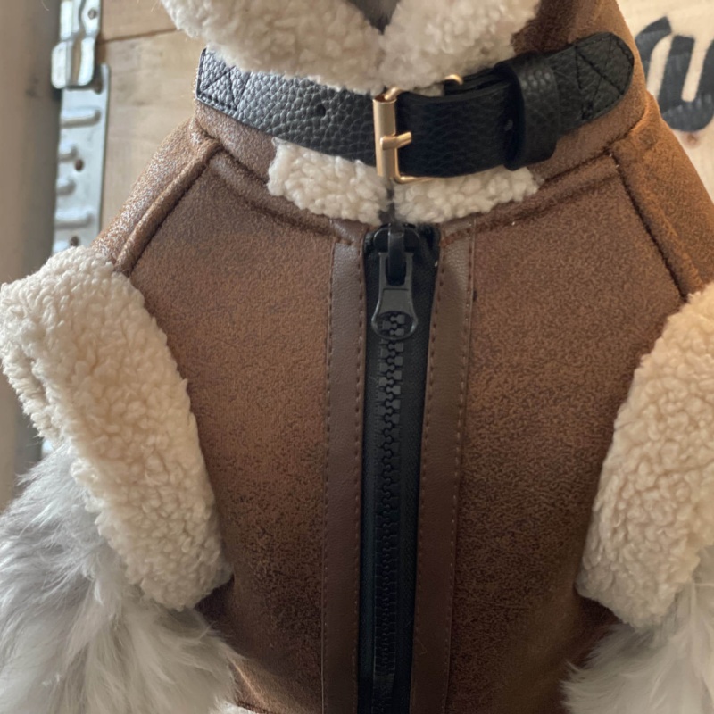 Chaleco sin mangas de terciope - Winter Clothing For Dogs reseña y precio