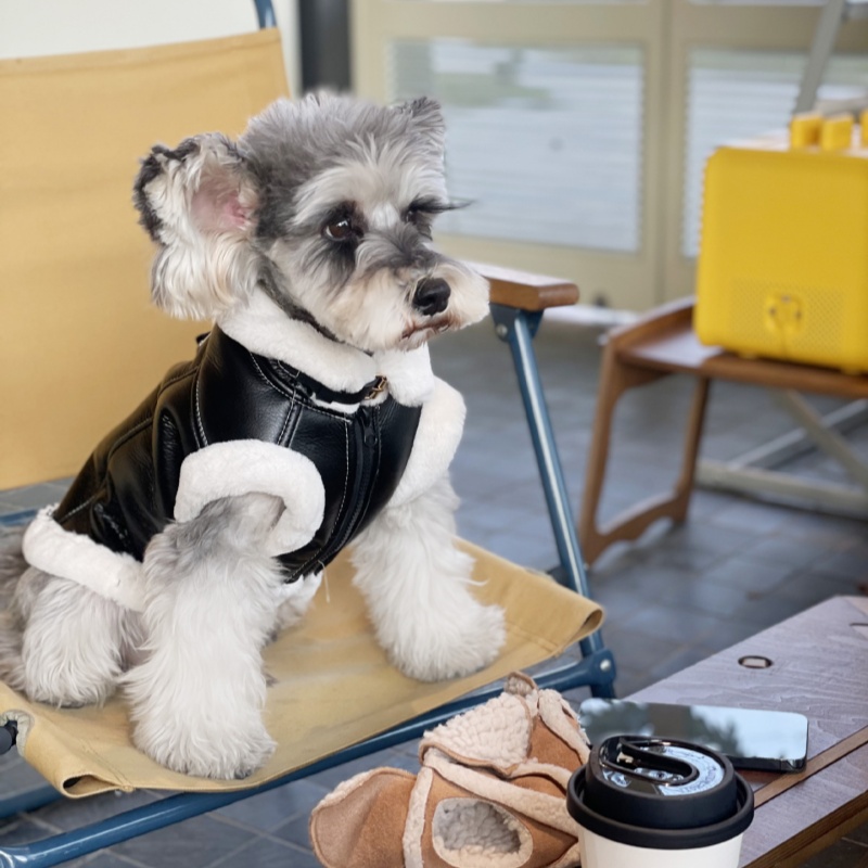 Chaleco sin mangas de terciope - Winter Clothing For Dogs reseña y precio