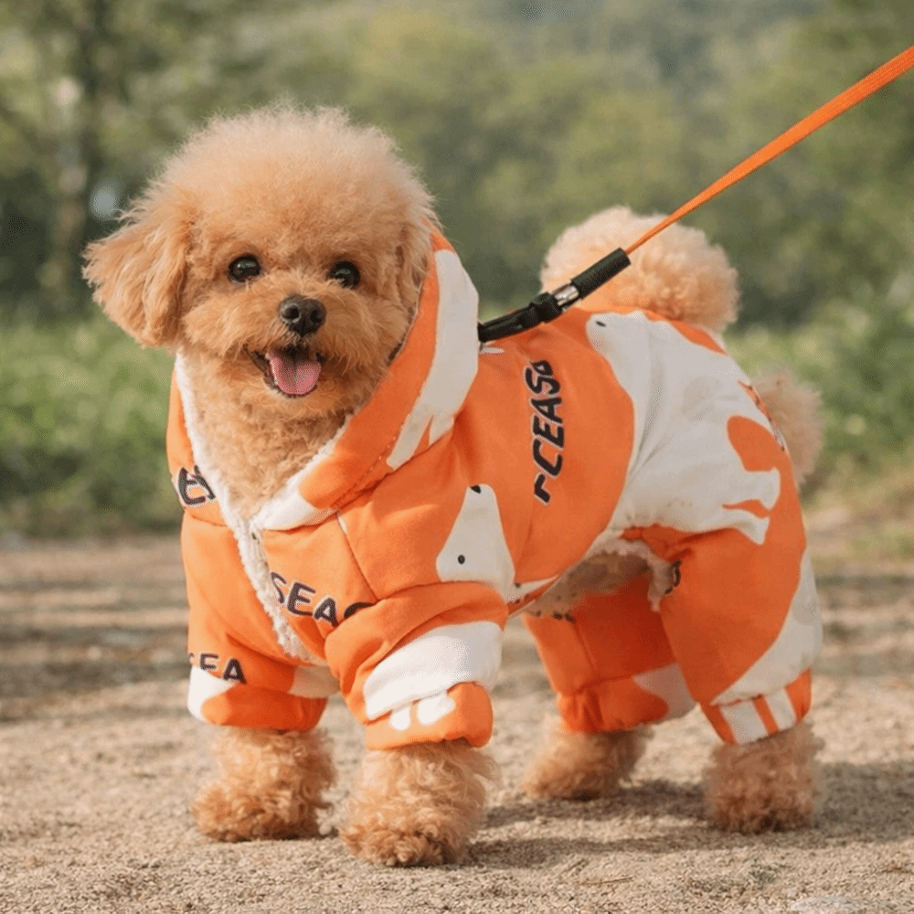 Ropa de invierno cálida y boni - Winter Clothing For Dogs reseña y precio