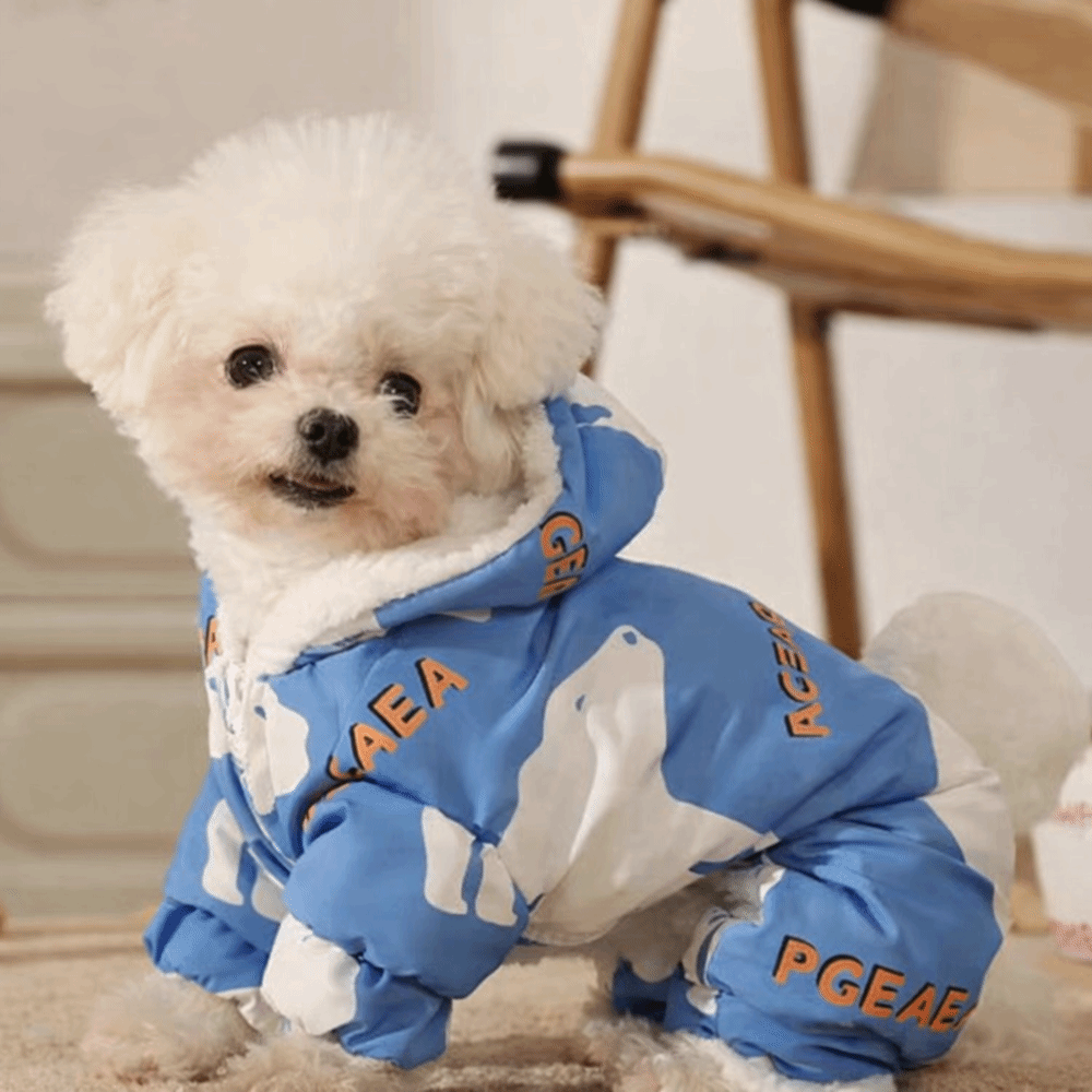 Ropa de invierno cálida y boni - Winter Clothing For Dogs reseña y precio
