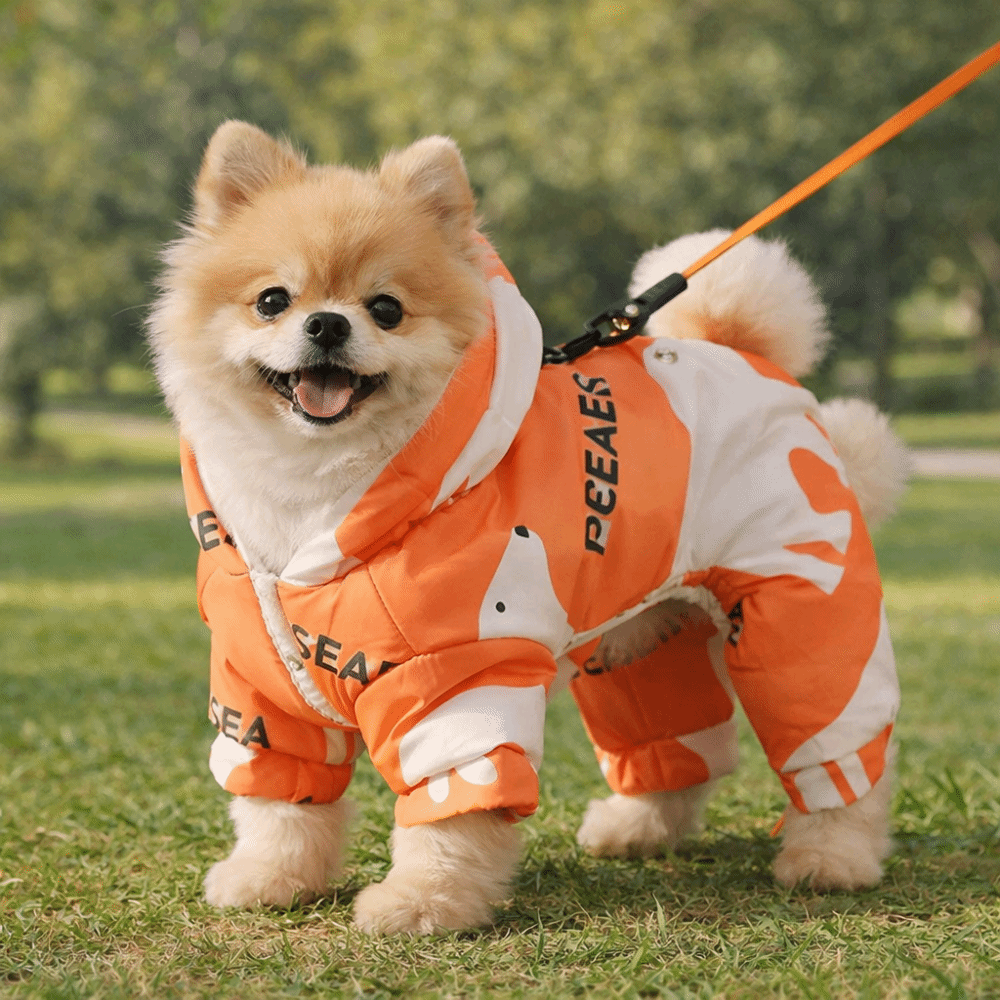 Ropa de invierno cálida y boni - Winter Clothing For Dogs reseña y precio