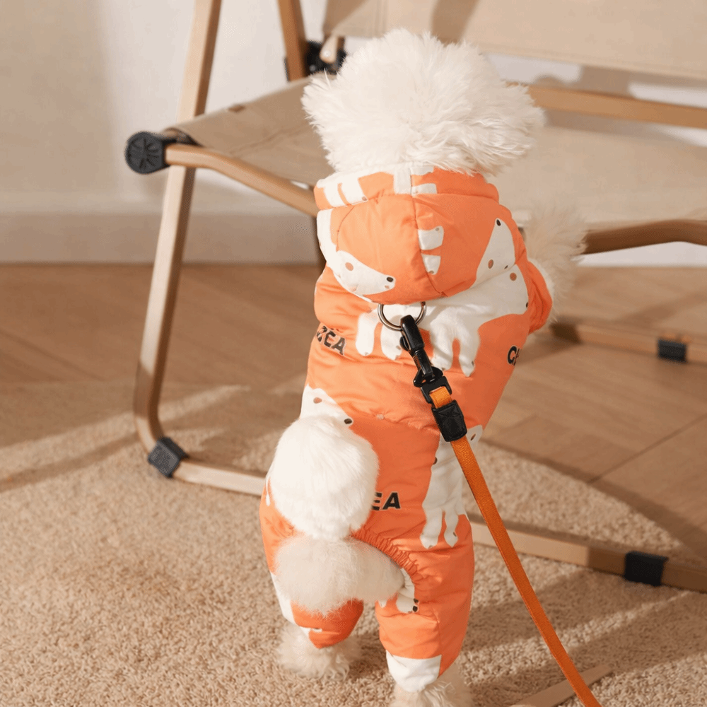 Ropa de invierno cálida y boni - Winter Clothing For Dogs reseña y precio